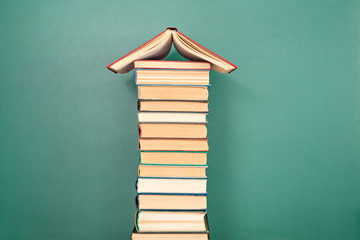 《只有一个地球》课文解析及答案