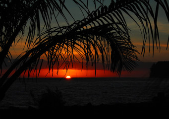 科学家们动漫第一季全集