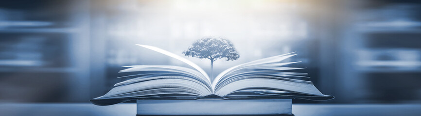 介绍一些经典的动漫作品