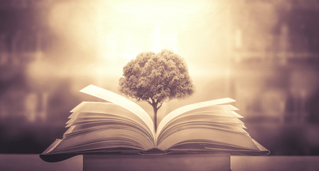 胆机与功放的区别-