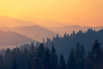 沉香救母的最后结局是什么