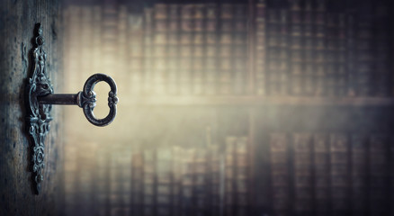 胚胎是怎样形成的