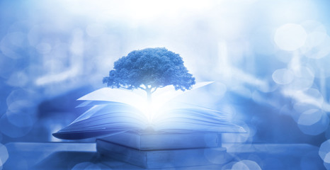 《只有一个地球》课文解析及答案