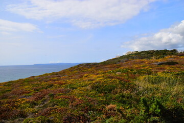 有什么校园+爱情+魔法+变身的日本动漫好看 最好像小女神花铃、玩偶游戏那样经典的动漫