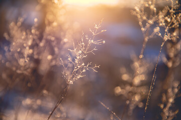 《只有一个地球》课文解析及答案