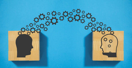 介绍一些经典的动漫作品