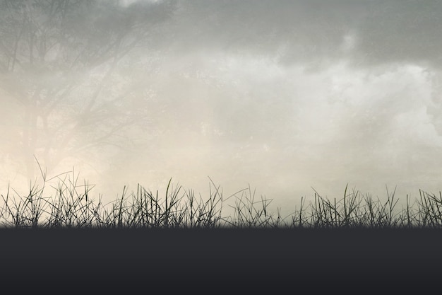 胆机与功放的区别-