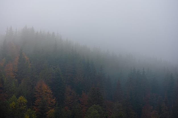 急求！~~~~~~~~~~~英文歌曲！~