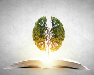 科学家们动漫第一季全集