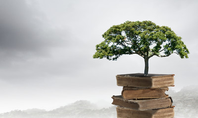 家里摆放的禁忌物品