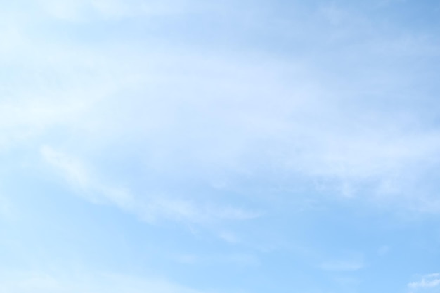 科学家们动漫第一季全集