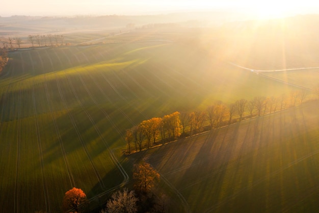 急求！~~~~~~~~~~~英文歌曲！~