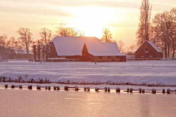 科学家们动漫第一季全集
